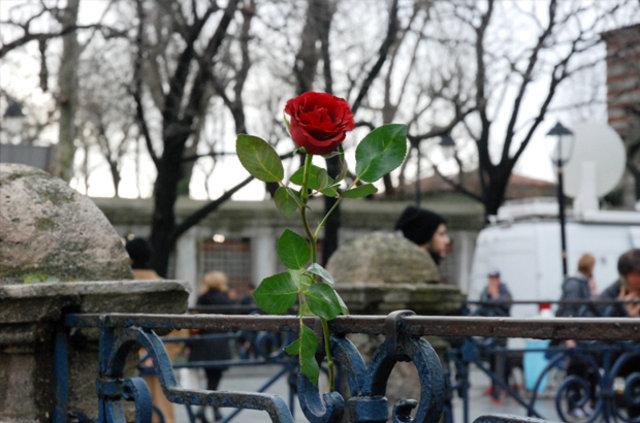 Sultanahmet'te ölenlerin anısına karanfil bırakıldı