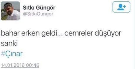 Yüksekdağ'ın danışmanı Güngör PKK saldırısını kutladı