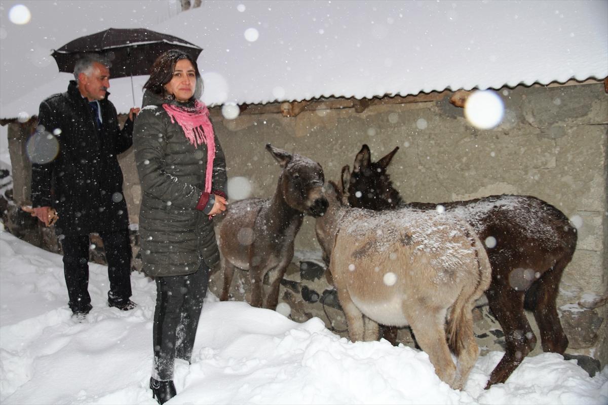 Muş'ta eşekler donmaktan kurtarıldı