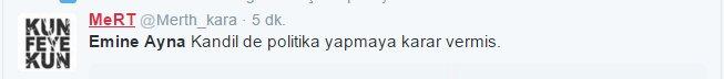 Emine Ayna siyaseti bıraktı