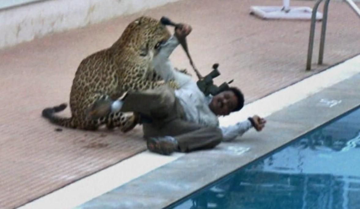 Hindistan'da okula leopar girdi İZLE