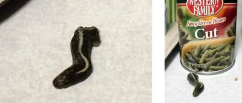 ABD'de fasulye konservesinde yılan kafası çıktı