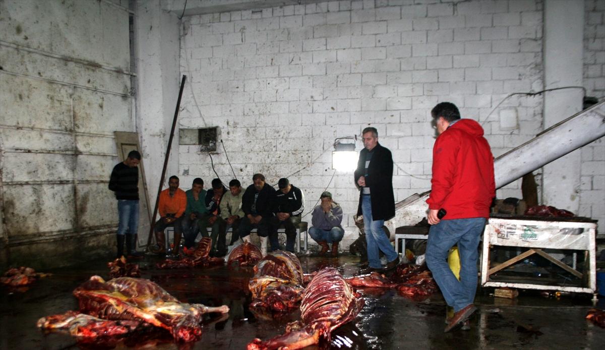 İzmir'de at eti operasyonu