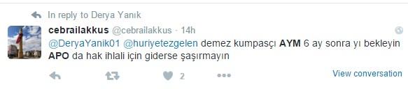 Anayasa Mahkemesi'ne Apo sorusu