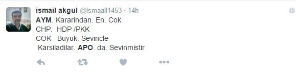 Anayasa Mahkemesi'ne Apo sorusu