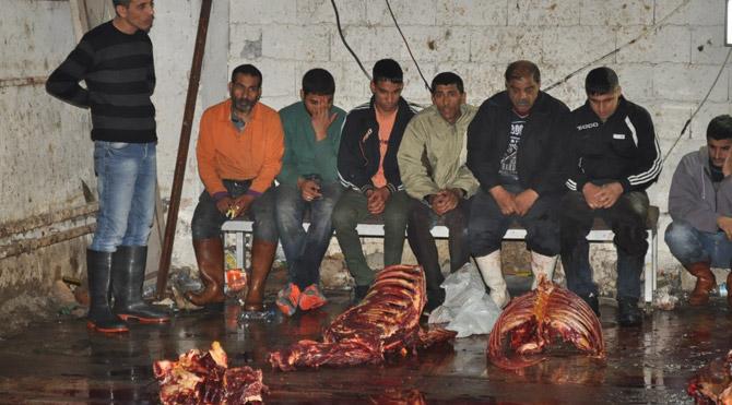 İzmir'de kesilen atların etini İstanbul'a gönderdiler