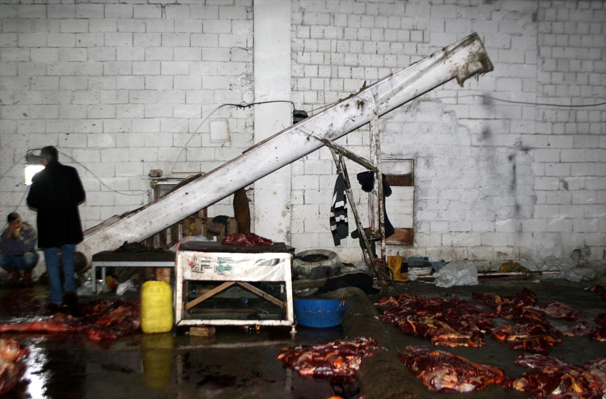 İzmir'de kesilen atların etini İstanbul'a gönderdiler