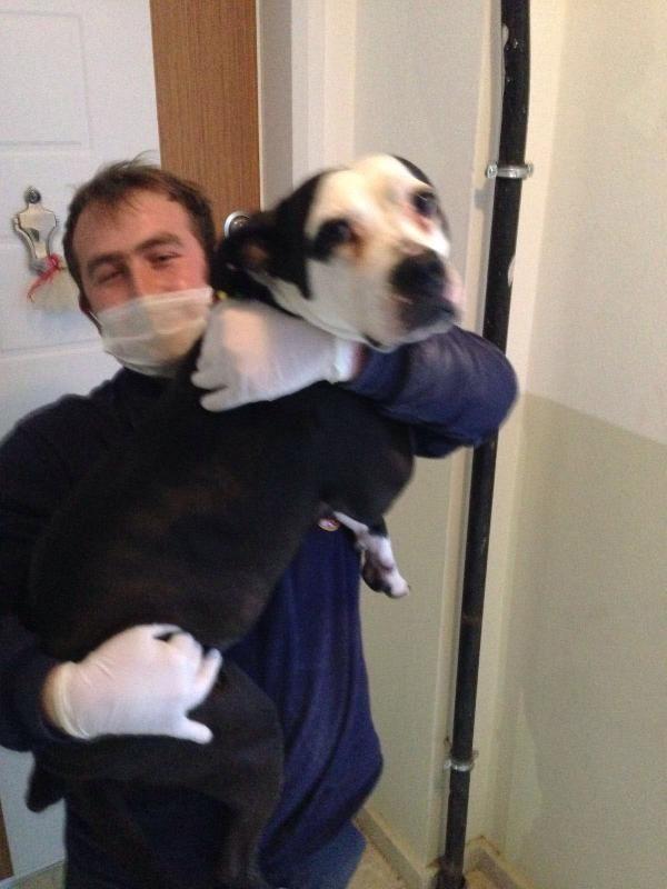 İstanbul'da bir travesti evinde ölü bulundu