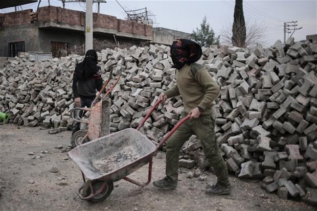 Avrupa'nın terör sevgisi