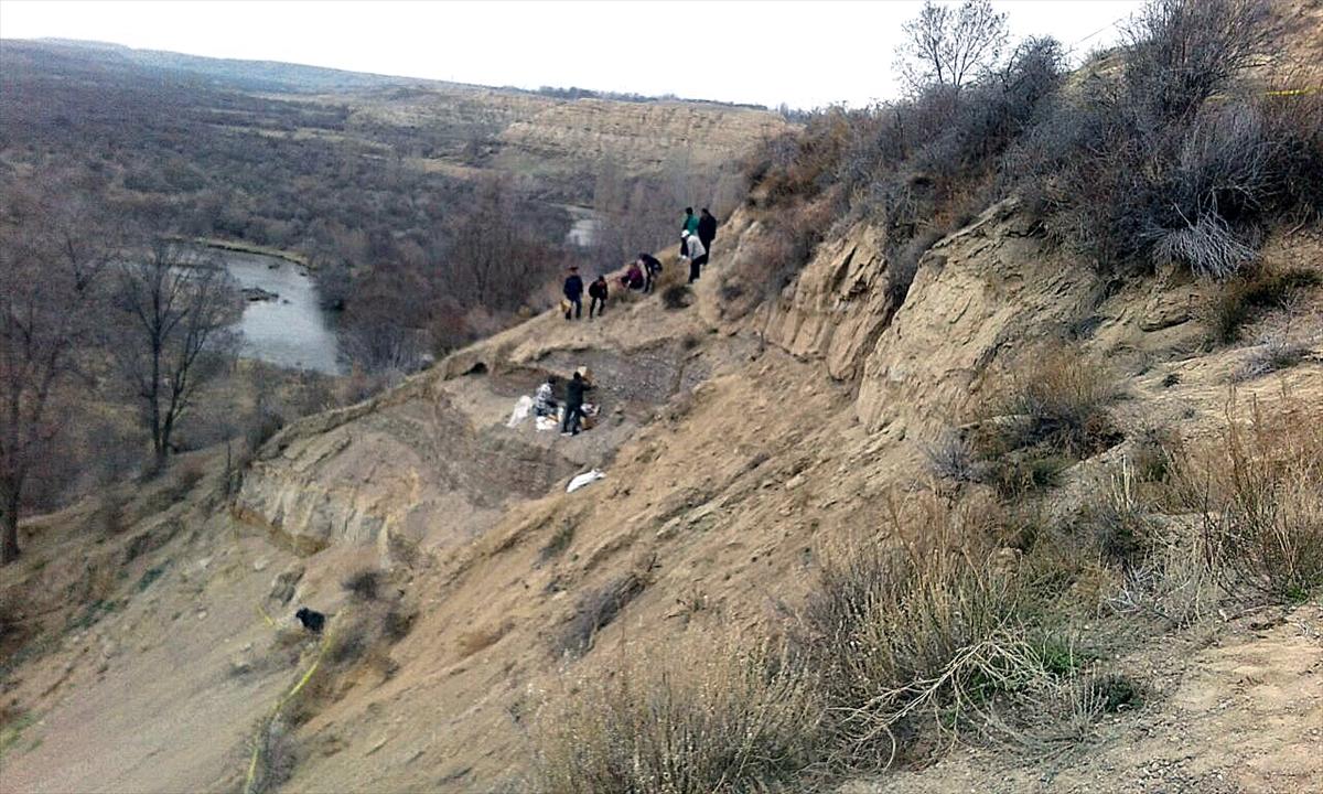 Kırgızistan'da yeni mamut kalıntısı