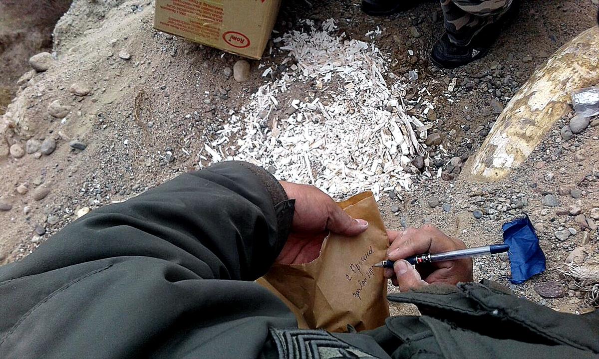 Kırgızistan'da yeni mamut kalıntısı