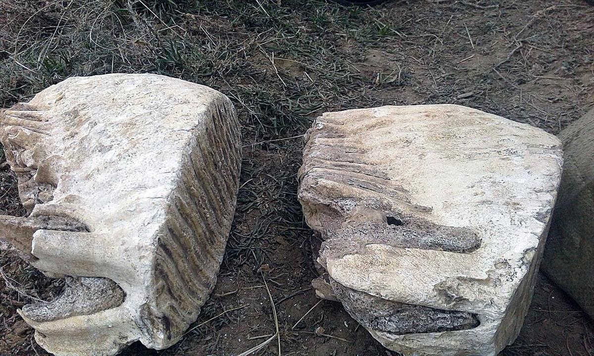 Kırgızistan'da yeni mamut kalıntısı