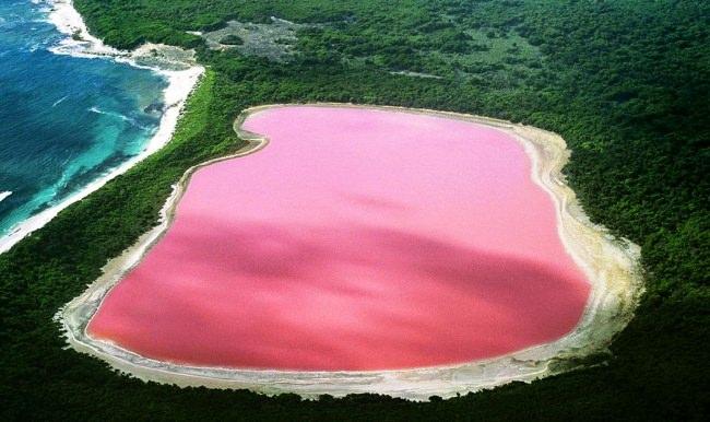 Pembe renkli Hillier Gölü'nün sırrı çözüldü