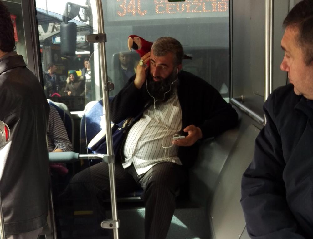 Metrobüse papağanla binen İstanbullu güldürdü