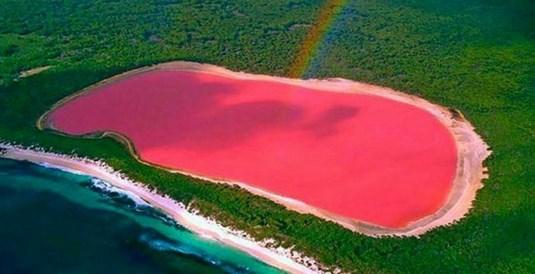 Pembe renkli Hillier Gölü'nün sırrı çözüldü