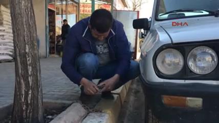 Otomobilini çalınmasın diye ağaca zincirledi İZLE
