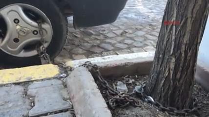 Otomobilini çalınmasın diye ağaca zincirledi İZLE