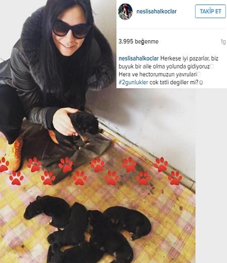 Neslişah Alkoçlar: Büyük bir aile olduk