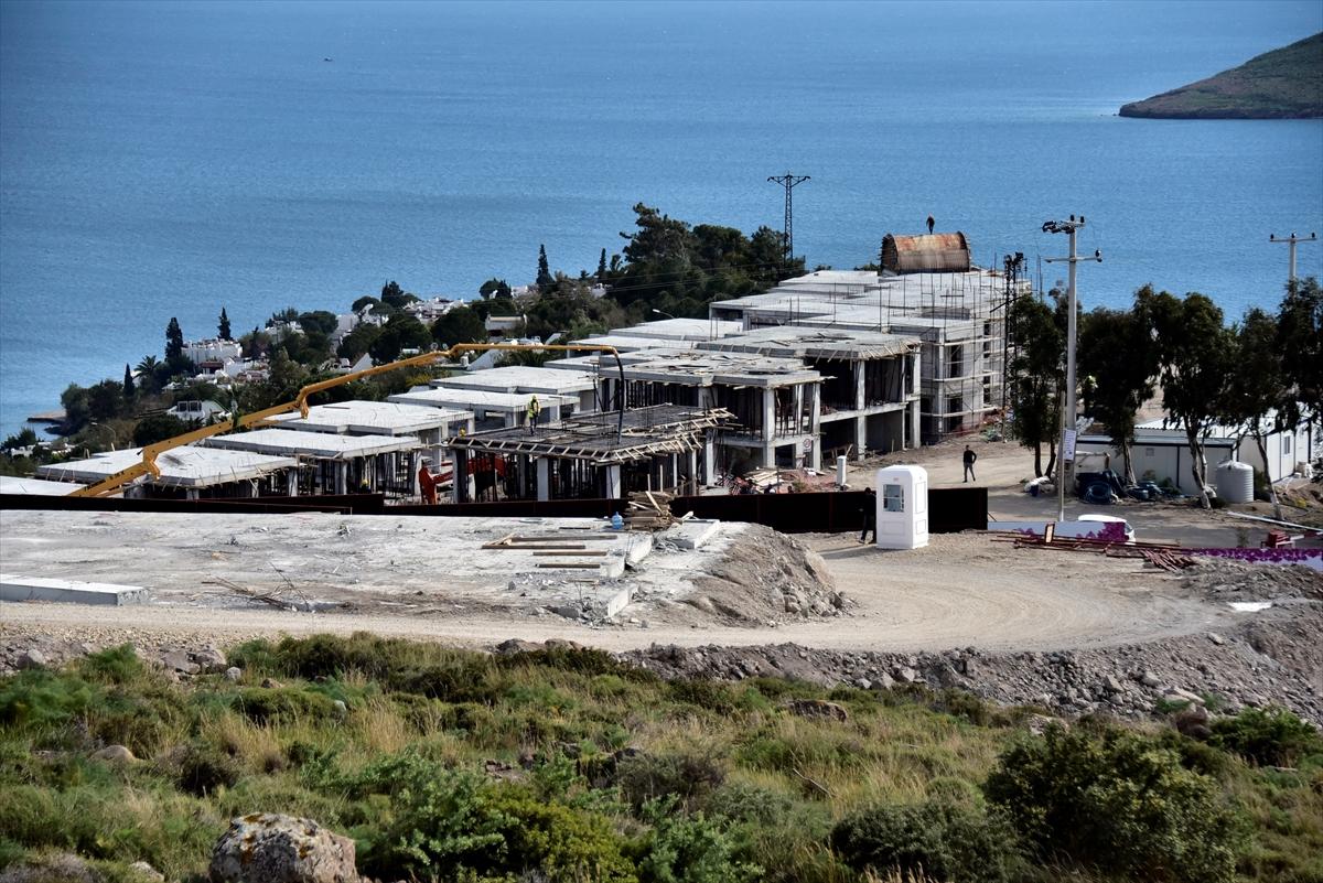 Bodrum'da kuruyan ağaçlar yeşile boyandı