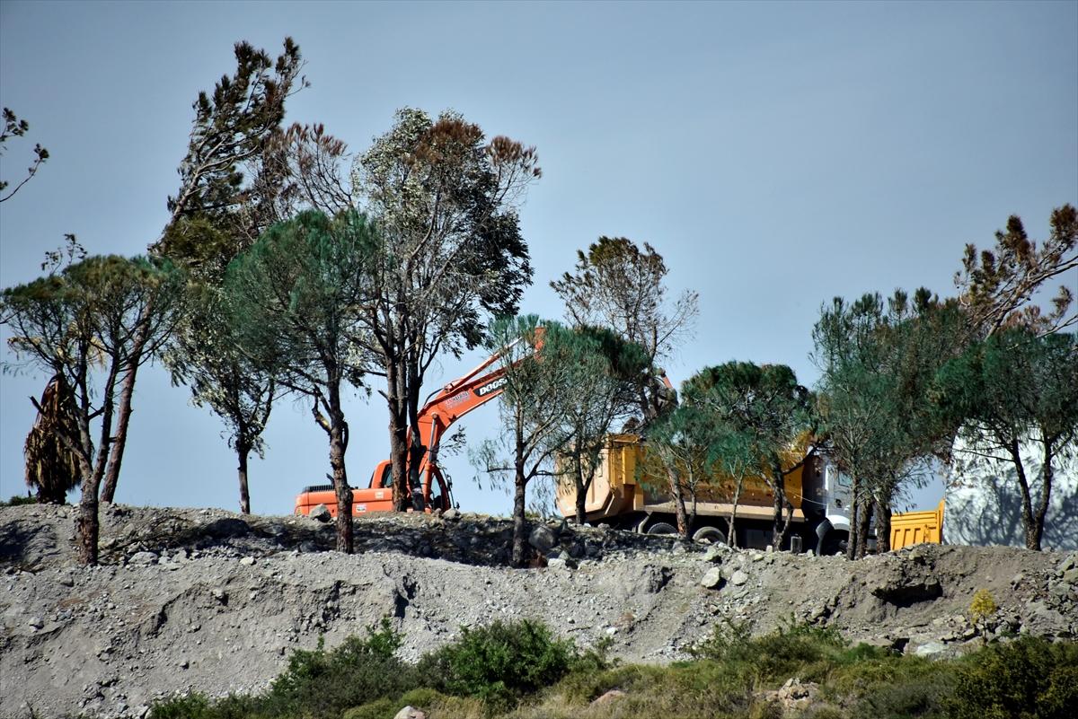 Bodrum'da kuruyan ağaçlar yeşile boyandı