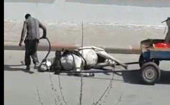 Yorgunluk yığılan atına  tekme ve odunla vurdu