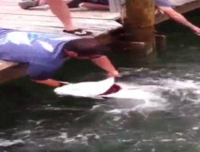 Dev balığı eliyle avladı İZLE