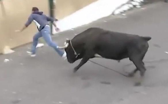 Boğanın gazabına uğrayanlar canını zor kurtardı