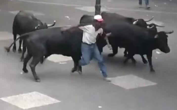 Boğanın gazabına uğrayanlar canını zor kurtardı