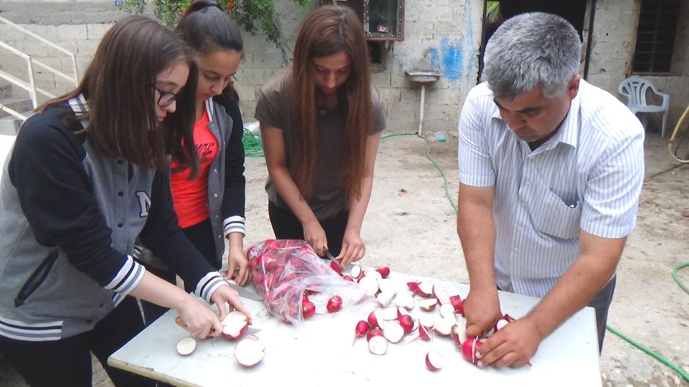 Osmaniye'de turptan yakıt üretildi