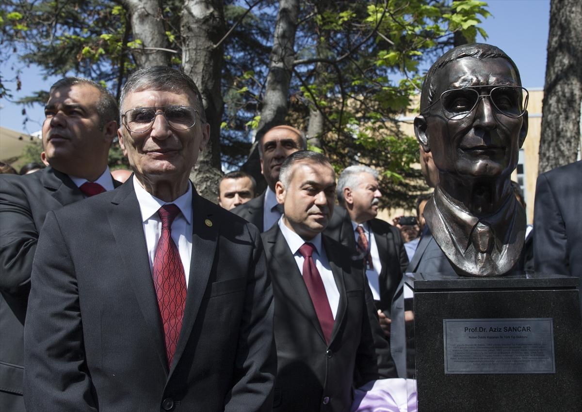 Nobel ödüllü Sancar'ın büstü açıldı