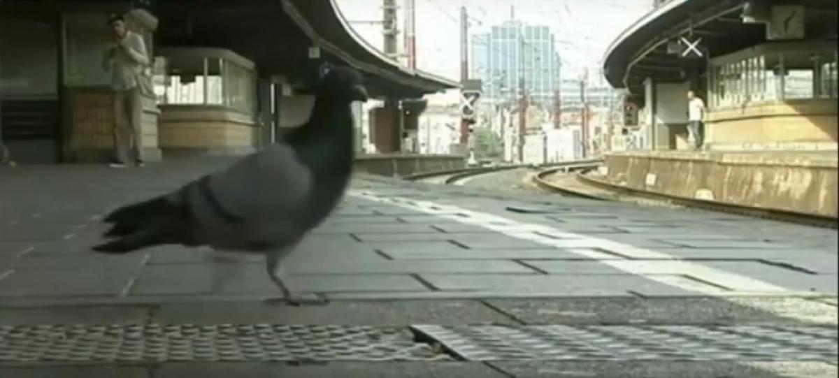 Belçika'da kamu çalışanları grevde