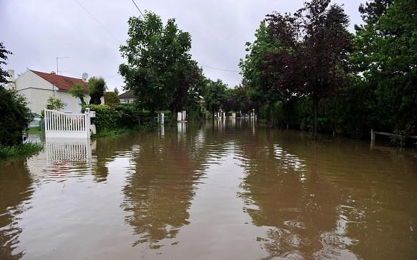 Fransa sele teslim oldu