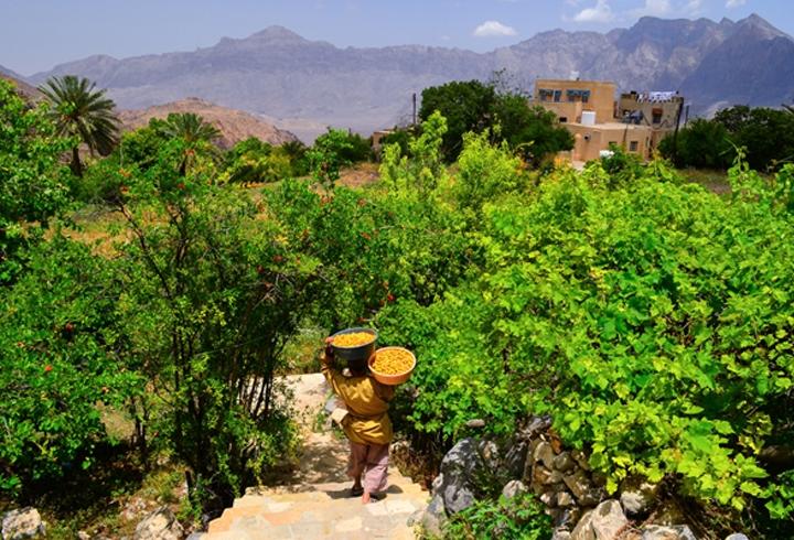 Umman'ın bir köyünde orucun süresi 3 buçuk saat