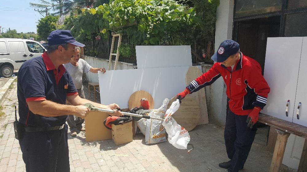 Kocaeli'de yılan paniği