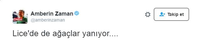 Amberin Zaman'ın Lice duyarlılığı