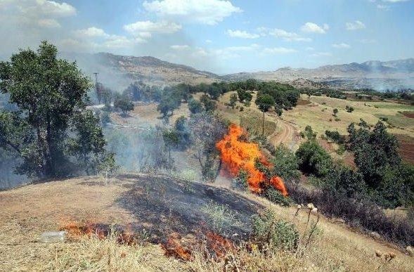 Yakalanan PKK'lı: Köylüler kaçalım diye yangın çıkardı