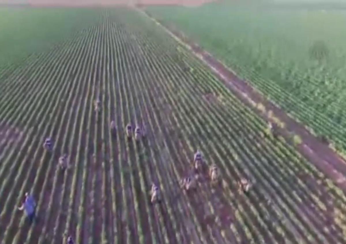 Şanlıurfa'da uyuşturucu operasyonu kamerada