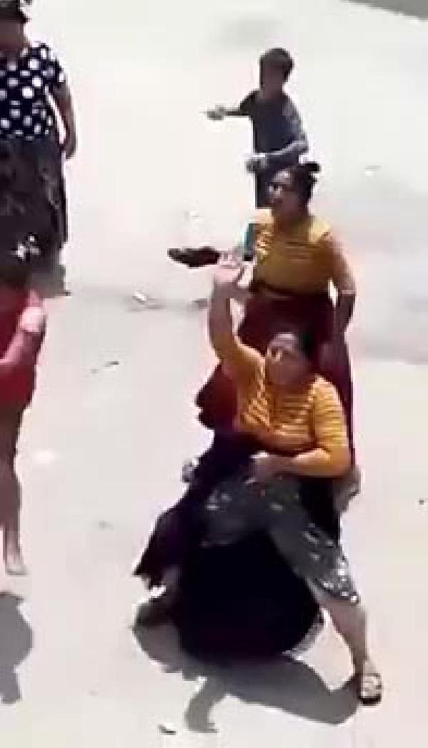 Conoların kavgasında ilginç görüntüler