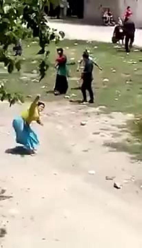 Conoların kavgasında ilginç görüntüler