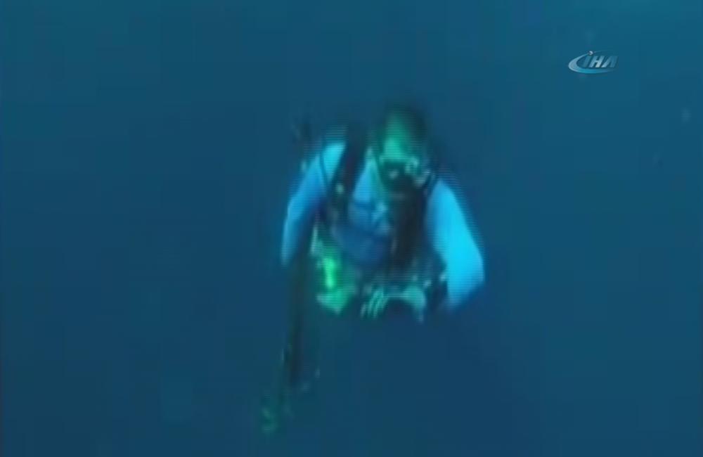 Aslan balığı dalgıcı ayağından soktu