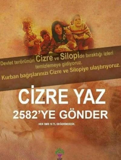 HDP'ye bağış trolü