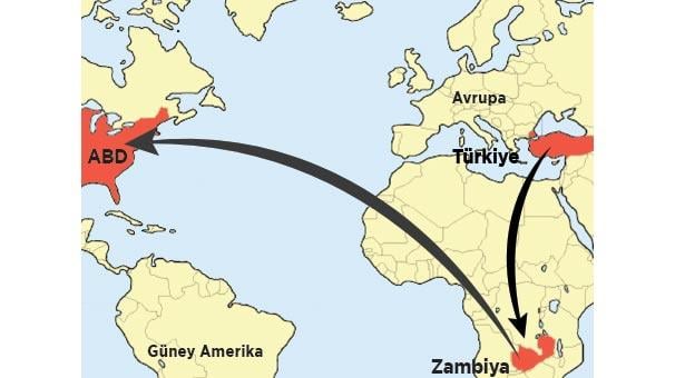 FETÖ'cüler Zambiya üzerinden ABD'ye kaçıyor