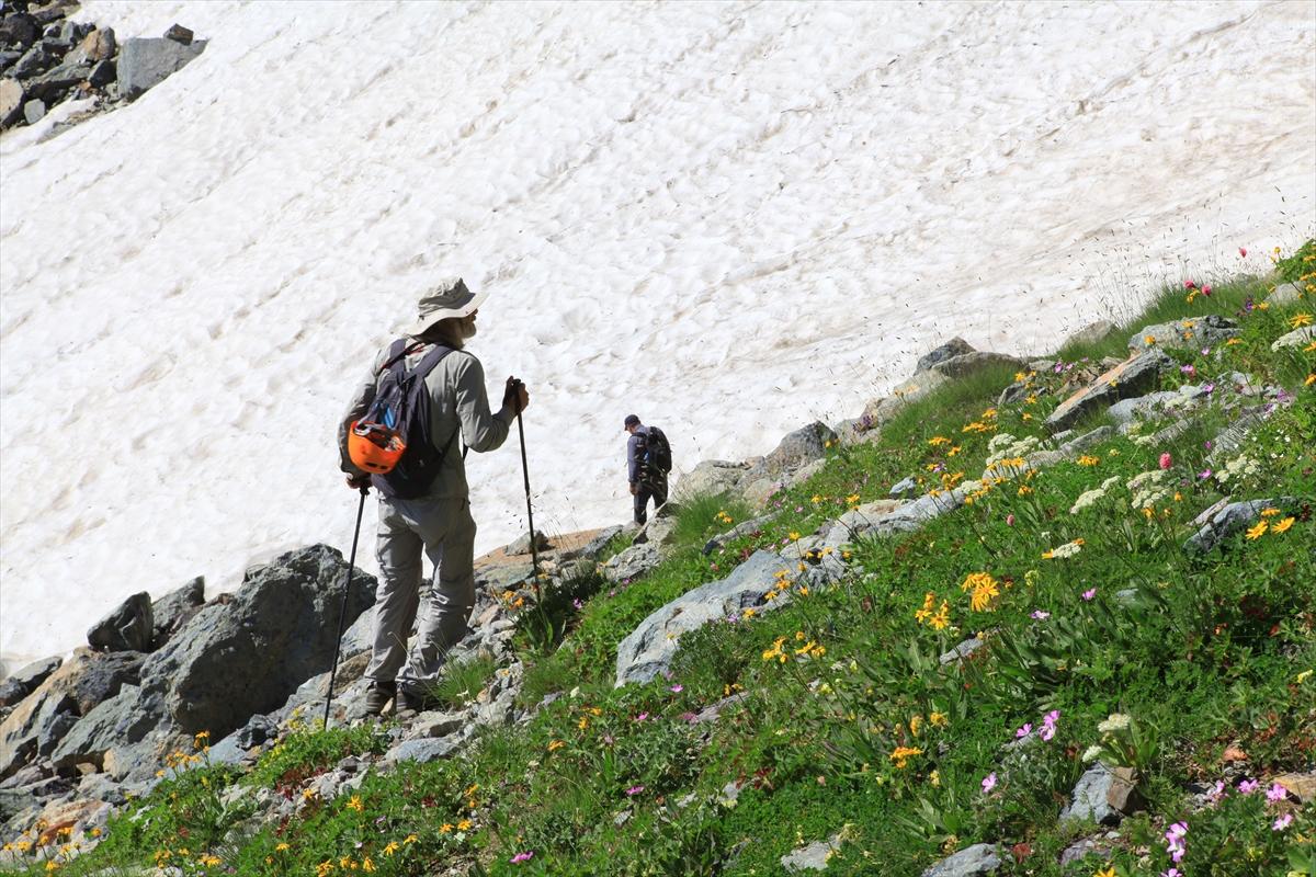 Bulutların Üzerindeki Marsis Dağı
