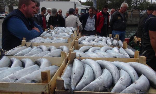 Palamut bereketi 25 yıl önce de böyle yaşanmıştı