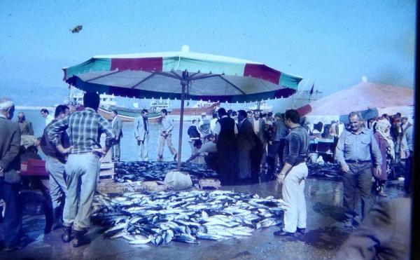 Palamut bereketi 25 yıl önce de böyle yaşanmıştı
