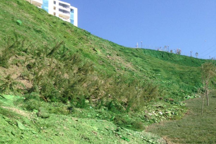 CHP'li belediye dağ yamacını yeşile boyadı