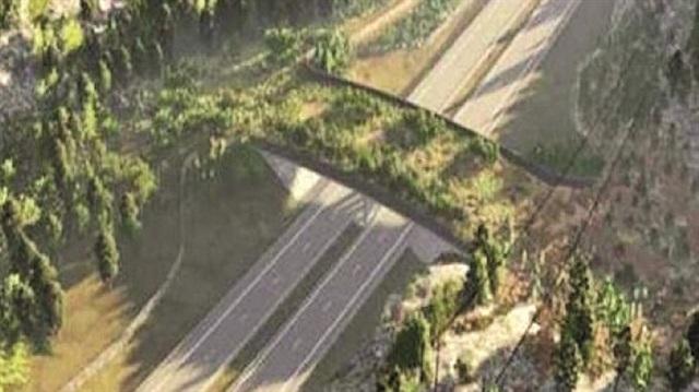 Kuzey Marmara Çevre Yolu'na ekolojik viyadükler yapılacak