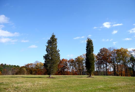 ABD'de FETÖ mezarlığı