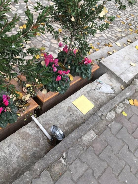 Efsane kedi Tombili'nin heykeli çalındı