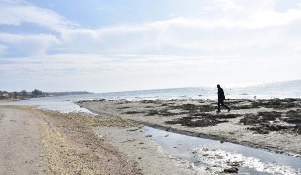 Tekirdağ'da deniz 15 metre çekildi